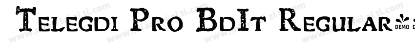  Telegdi Pro BdIt Regular字体转换
